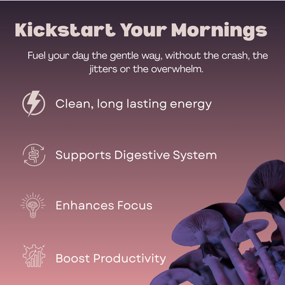 Original Mushroom Coffee